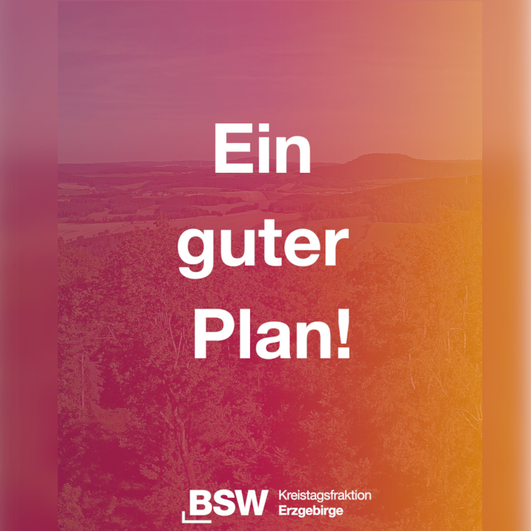 Bild einer Landschaft in den Farben des BSW getaucht und der Aufschrift "Ein guter Plan"